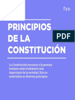 Principios de Una Constitución2