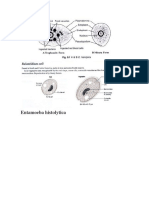 lab.parásitos.pdf