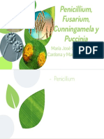 Penicillium, Fusarium, Cunningamela y Puccinia.pdf