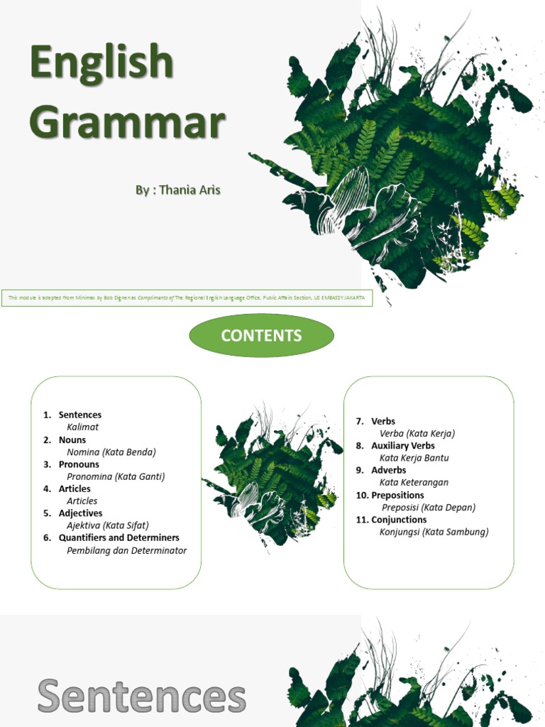 Basic English Grammar Overview | PDF | Verb | Pronoun