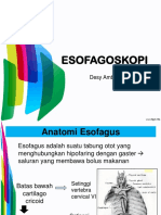 Esofagoskopi