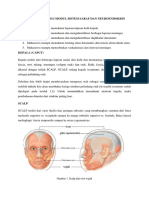 Praktikum Anatomi I Modul 2 1 PDF