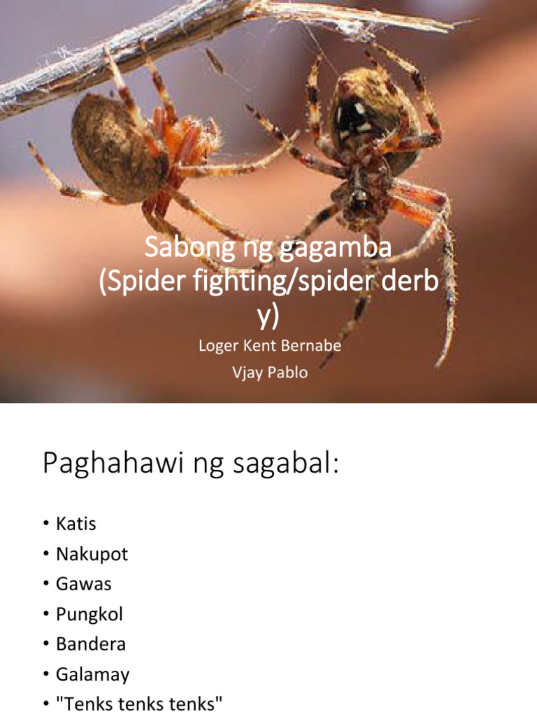 Sabong NG gagam-WPS Office | PDF