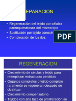 Reparacion y Regeneracion