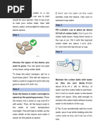 Procedure Text - How To Grow A Plant