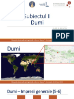 Dumi Prezentare PDF