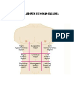 9 Region Abdomen Dan Organ