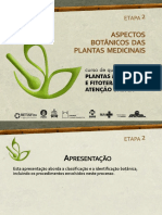 Classificação e identificação botânica de plantas medicinais
