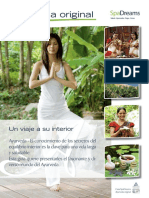 Spadreams Guia Ayurveda Es PDF