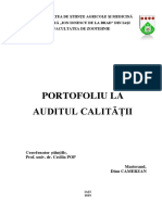 Audit Dinu PDF