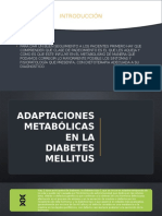 Adaptaciones metabolicas