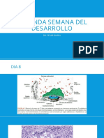 SEGUNDA SEMANA DEL DESARROLLO.pptx