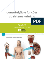 Ctic9 K1 Constituição e Funções Do Sistema Urinário