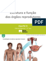 Ctic9 N1 Estrutura e Função Dos Órgãos Reprodutores