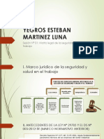 Yegros Esteban Martinez Luna PDF