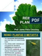 Reino Plantae y Animalía PDF