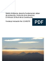 constitucion y medio ambiente algunas ideas para el futuro pdf 787 kb (1).pdf