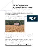 Cuáles Son Los Principales Núcleos Agrícolas de Ecuador