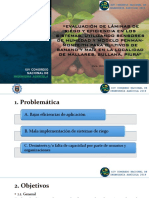 Ponencia CONIA 2019-PPT.pdf