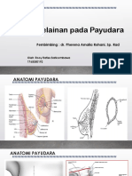 Kelainan Payudaraa RRB