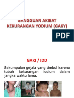 Gangguan Akibat Kekurangan Yodium (Gaky)