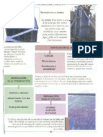 Manual Del Residente de Obra Control de La Obra, Supervisión & Seguridad - Luis Lesur (1ra Edición) - 035 PDF