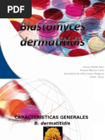 Download blastomices dermatiditidis by ariadna_macias SN44529134 doc pdf