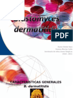 Blastomices Dermatiditidis