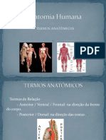 Anatomia Humana.2 Aula