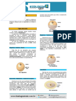 (Teoria) Embriologia PDF