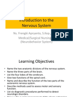 #1 Introduction To The Nervous System