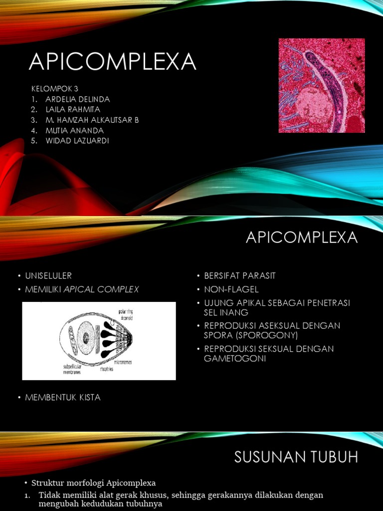 Siklus Hidup dan Peran Apicomplexa | PDF