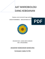 MIKROBIOLOGI DI BIDANG KEBIDANAN