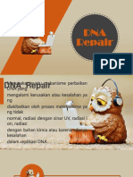 DNA Repair English