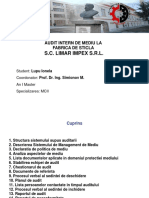 140683496 Lupu Ionela Audit Mediu