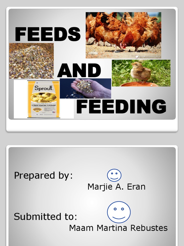 Feeds and Feedings Margie Eran PDF Chicken Animal Feed