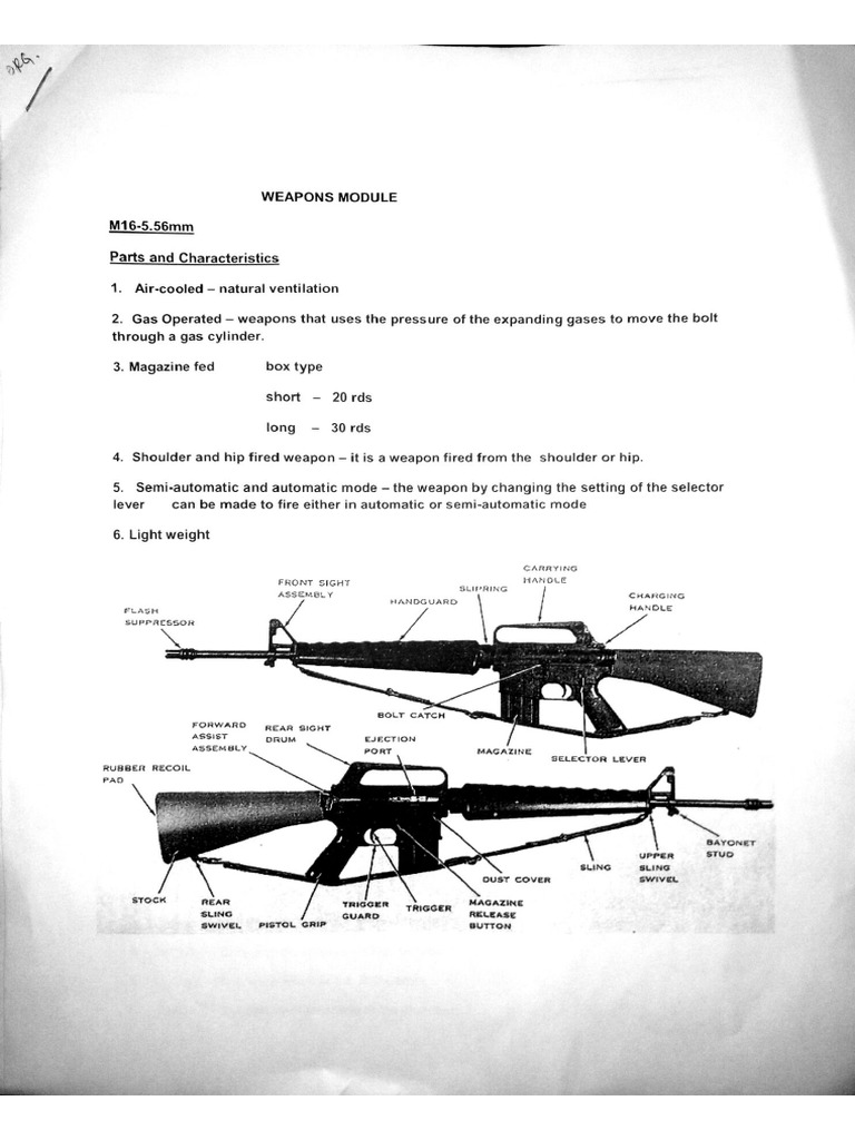MS-1 Reviewer | PDF