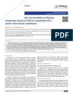 2018-A case report on the survivability of marine luminous bacteria Vibrio campbellii STF1 under starvation conditions