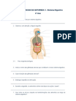 Sistema Digestivo - Funções e Legendas