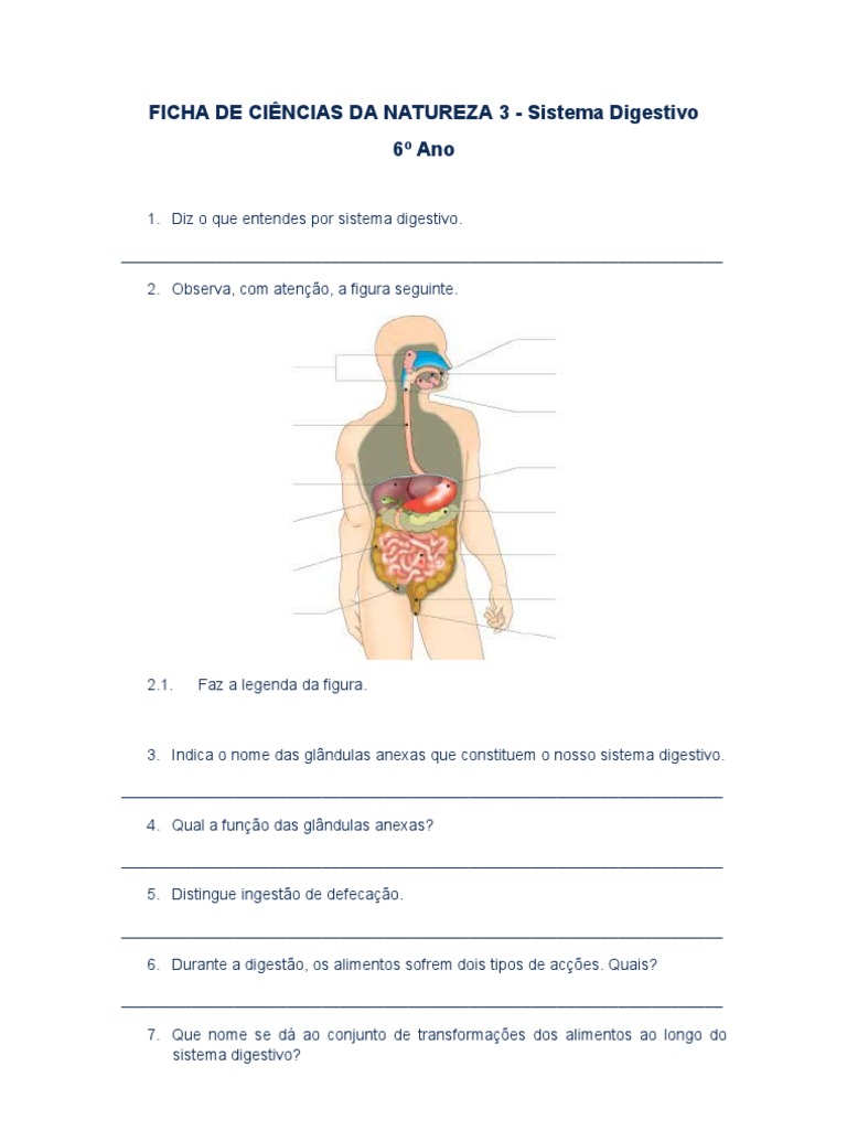 Ficha de Ciências: Sistema Digestivo 6º Ano | PDF | Sistema digestivo  humano | Digestão, image size:768x1024
