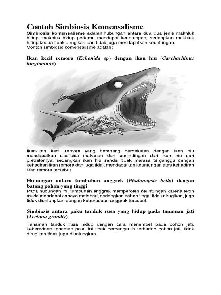 Contoh Simbiosis Komensalisme