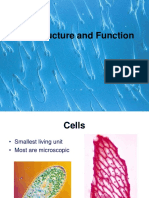 Cell parts and function