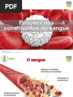 re82138_cv6_funcoes_constituintes_sangue