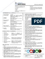 CV - Dario Jordan Rojas Marchena - M0120