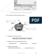 Ficha de avaliação (2 - C) - Trocas nutricionais nos animais.docx