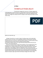 Download Sistem Pencernaan Ikan by notcreep SN44536416 doc pdf