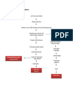 Pathway Anemia Hemolitik Autoimun