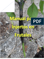 Manual injertos fruta.pdf
