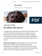 El Olfato Del Perro PDF