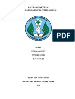 Format Laporan Biomekanik Pelvic-Sacrum